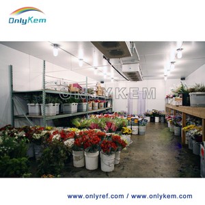 Flor de la sala de almacenamiento en frío con precio bajo - Product Image 2