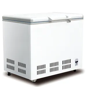 China Factory Großhandel Horizontal Commercial Change able Chest Freezer