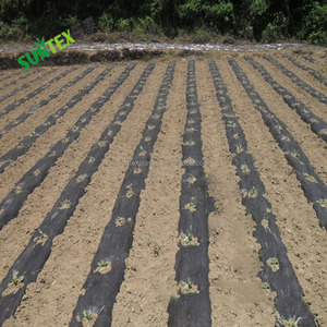 Nông Nghiệp Giữ Độ Ẩm Của Đất Polyethylene Lớp Phủ Phim, Màu Đen Kiểm Soát Cỏ Dại Cảnh Quan Lớp Phủ Hai Lớp, 1mil Che Phủ Mặt Đất Lớp Phủ Tấm - Product Image 6