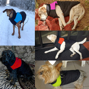 Chien Chaud D'hiver Wag Une Tude Vêtements, Vêtements Pour Chien - Product Image 1