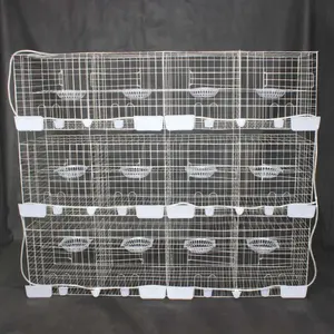 Cage d'élevage de Pigeon à double couche, Cage pour élevage de pigeons, bon marché