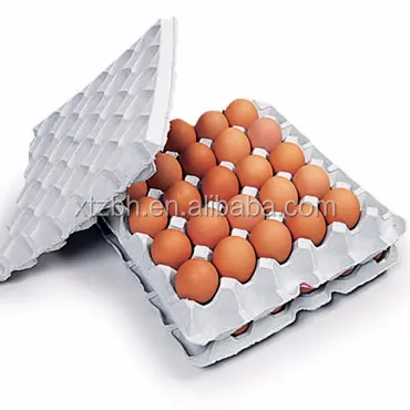 Waste Paper Recycling Machine to produce egg tray dish 4000 pecs per hour