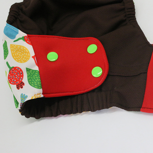 Happyflute <span class=keywords><strong>todo</strong></span> <span class=keywords><strong>en</strong></span> <span class=keywords><strong>uno</strong></span> ecológico fresco de <span class=keywords><strong>pañales</strong></span> de tela - Product Image 4