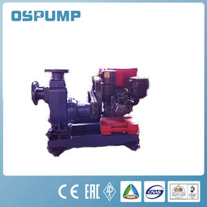 ZX series autocebante <span class=keywords><strong>vivero</strong></span> bomba de alta eficiencia - Product Image 4