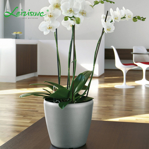 Bac de jardinage en plastique, pot de bureau et de sol, à jardinage automatique, de grande taille, pour loisirs, vente en gros, 2021 - Product Image 4