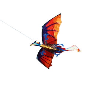 Заводская цена, воздушный змей дракона для детей - Product Image 5