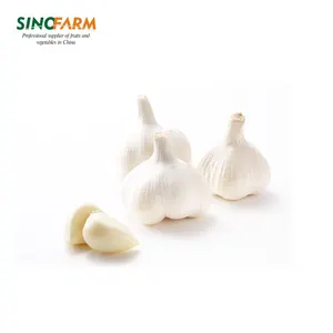 China Fresh garlic white low price