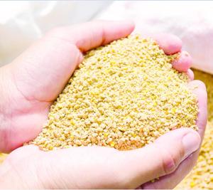 בעלי החיים הזנת תירס גלוטן להאכיל - Product Image 2