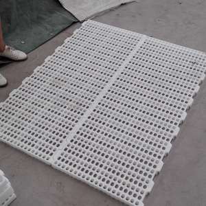 Disque de poulet en plastique de haute qualité, 1200x500x40mm, sol pour <span class=keywords><strong>poulailler</strong></span> de volaille, à bas <span class=keywords><strong>prix</strong></span> - Product Image 6
