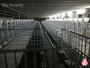 Hệ Thống Cấp Liệu Bán Tự Động Chất Lượng Cao Cho Trang Trại Thiết Bị Lợn - Product Image 3