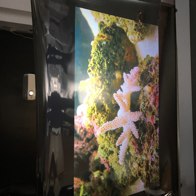 Top Grade Advertising Hologram Holographic Rear Adhesive Film Projection 3D Screen Film for Window Shop Display Exhibition
