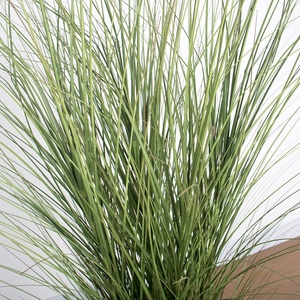 来自中国的高品质塑料人造洋葱草装饰植物批发 - Product Image 3