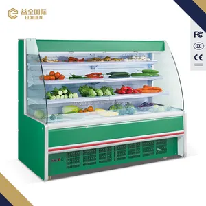 XGG-25 wholesale fruit cooler furniture vertical deep freezer display refrigerators