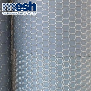 Mạ kẽm gia cầm dây lưới/cá nồi dây/mạ kẽm <span class=keywords><strong>net</strong></span> - Product Image 3