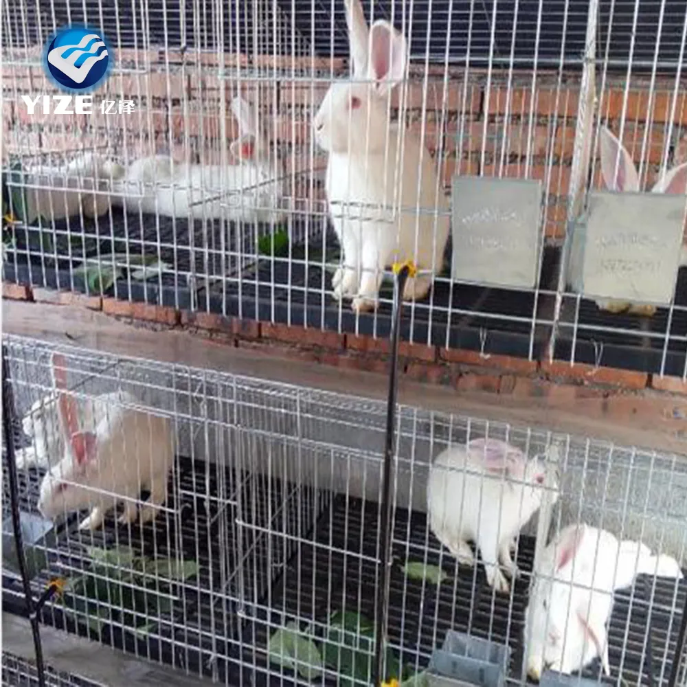 กรงเลี้ยงกระต่ายแบบอุตสาหกรรมใช้ในฟาร์มทำจากโลหะสำหรับเลี้ยงกระต่าย