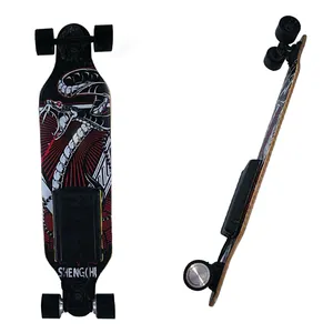 Mới nhất phong cách Longboard mini skateboard điện thúc đẩy mạnh mẽ board
