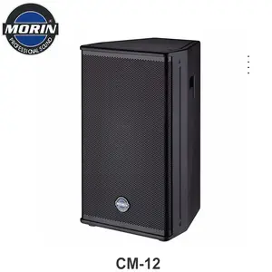 Altoparlante audio professionale pa di grande potenza per discoteca e riunioni 12 pollici 8ohm Morin CM-collection