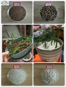Medio de Cultivo de <span class=keywords><strong>Perlita</strong></span> Expandida <span class=keywords><strong>y</strong></span> <span class=keywords><strong>Vermiculita</strong></span> para Viveros de Orquídeas - Product Image 2