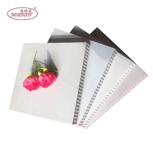 Trung Quốc Nhà Sản Xuất 1220x2440*15Mmplastic Shutter Slab Ván Khuôn Cho Bê Tông - Product Image 6