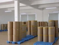 20-30nm Nano Polvo de óxido de zinc Nanopartículas de óxido de zinc para refuerzo de caucho