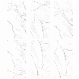 <span class=keywords><strong>Piastrelle</strong></span> in Porcellana di Grande Formato 1200X600 Effetto Marmo Lastra in Porcellana Ultra Sottile Prezzo 60X120 - Product Image 2