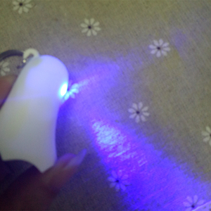Porte-clés lumineux halloween g40, nouvelle collection de lampe LED clignotante, fantôme, son, porte-clés
