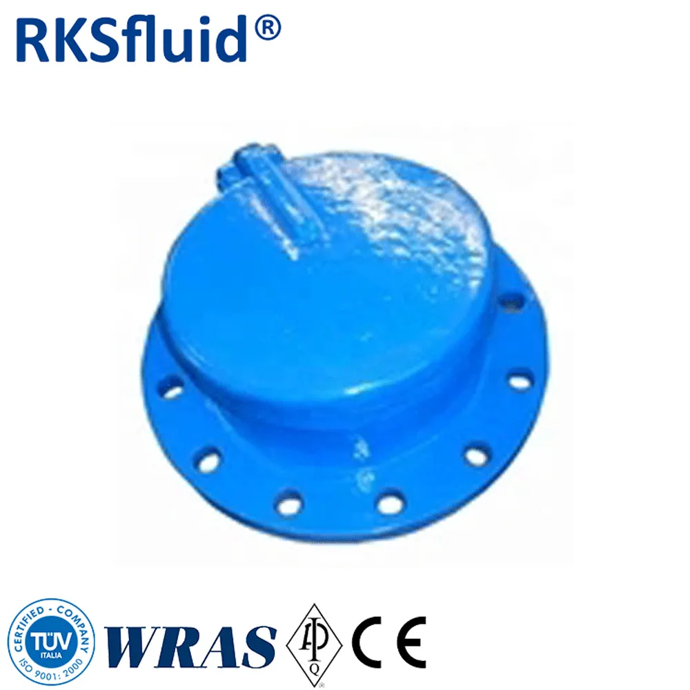 Wholesale High Quality Double Flap Valve Factory Price