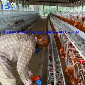 2017 nueva jaula del pollo del diseño para la granja de pollo de las aves de corral