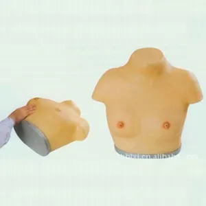 ADA-F7B medical science breast model for clinic medical teaching
