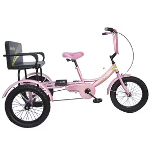 High quality folding electric tricycle/three wheel motorcycle/two seat adult tricycle hot selling