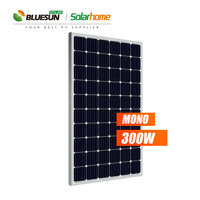 Bluesun Solar Chine Meilleur prix Poly 250w 260w 270 280w 290w 300w Modules solaires PV Bangladesh Prix des panneaux solaires avec livraison gratuite