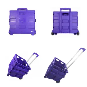 Usine prix Offre Spéciale plein violet pliant portatif chariot panier avec 2 roues personnelle lumière supermarché chariot