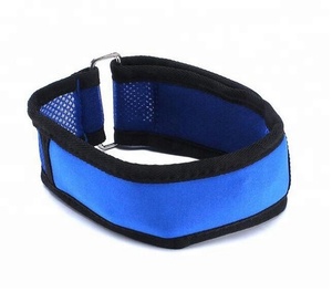 Nuevo verano tranquilo para mascotas de perro Collar de enfriamiento con extraíble paquete de Gel - Product Image 2