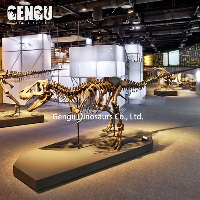 Fossil Replica Fiberglass Dinosaur Model Dinosaur Bone