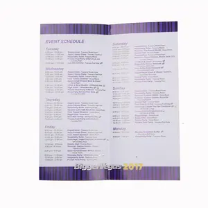 Customized Beautiful A5 Tri-fold Matt Laminate Company Profile Brochure Printing