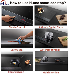 H-one Waterproof Multi <strong>Function</strong> Black Panel Built in Coil Double Zone 220V Infrared <strong>Cooker</strong> for Countertop - Product Image 2