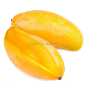 Industriale macchina di elaborazione mango essiccato