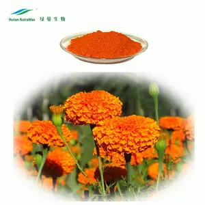 Marigold extracto/extracto de flor de cempasúchil/luteína y la zeaxantina polvo de extracto de caléndula