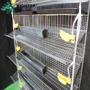 <span class=keywords><strong>Precio</strong></span> barato Fácil instalación Comercial Alimentación completamente automática Jaula de colocación de codornices de metal con bebedero de agua - Product Image 3
