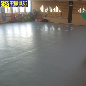 Jianer ECO-Thân Thiện Thoải Mái Khiêu Vũ Phòng Sàn <span class=keywords><strong>PVC</strong></span> Mẫu Giáo Phổ Biến Khỏe Mạnh Mềm Modular Trẻ Em Tầng <span class=keywords><strong>Mat</strong></span> - Product Image 4