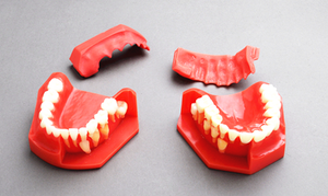 Modèle de développement pédiatrique à dentition mixte pour démonstration à l'âge de 9-12 ans - Product Image 2