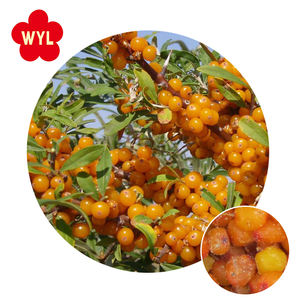 Высококачественные Замороженные ягоды облепихи Облепиха IQF Замороженные ягоды облепихи - Product Image 6