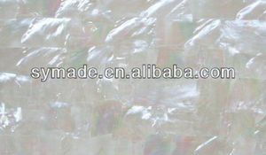 <span class=keywords><strong>bianco</strong></span> madre perla shell foglio - Product Image 5