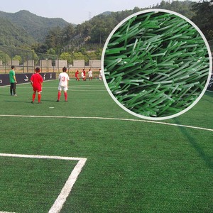 Prueba del SGS Natural recomendado hierba campo de fútbol - Product Image 5