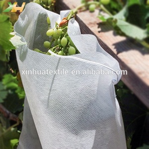 Meilleures ventes en Chine usine vente en gros PP Spunbnod sac de protection de fruits non tissé non tissé non tissé pour mangue et ainsi de suite - Product Image 2