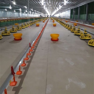 Zoai — ferme de volaille à poulet et 1,5 kg, équipement moderne pour élevage de volaille, broyeur et couche - Product Image 4