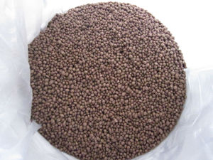 <span class=keywords><strong>Engrais</strong></span> Granulaire Complexe NPK 12-24-12 à Libération Rapide pour l'Agriculture – Fabricant Chinois - Product Image 2