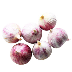 <span class=keywords><strong>Ail</strong></span> haut de gamme, nouveauté chinoise - Product Image 2