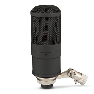 Professional Cardioid Condenser <strong>Microphone</strong> Customized Handheld Wired <strong>Recording</strong> Studio <strong>Microphone</strong> for Computer Made of Plastic - Product Image 3