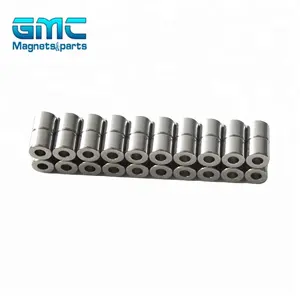 Pabrik Langsung Menyediakan Cincin Magnet Diametric Magnet Neodymium